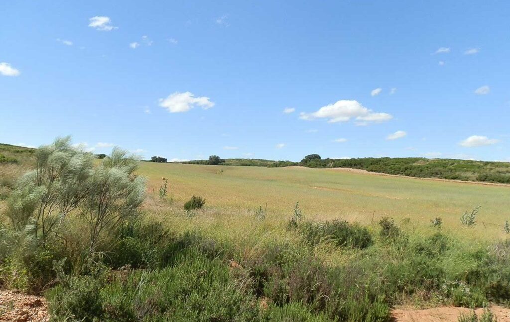 669_fincas-en-venta-090