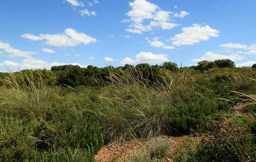 669_fincas-en-venta-092