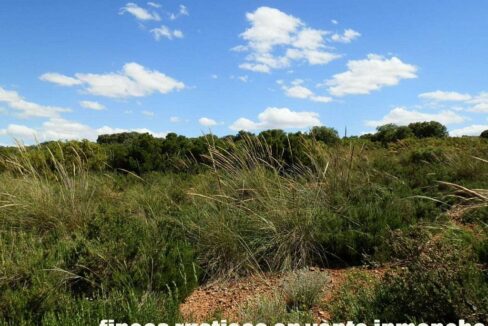 669_fincas-en-venta-092
