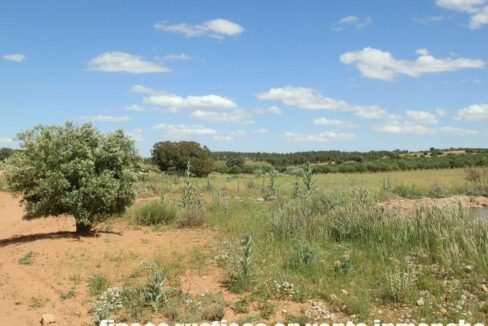669_fincas-en-venta-101