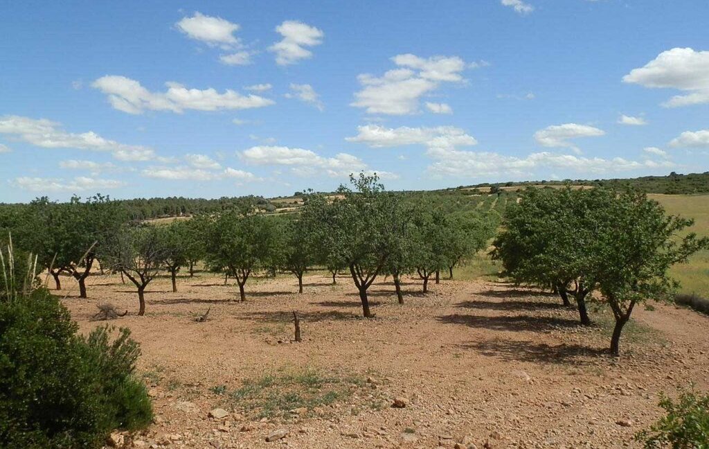 669_fincas-en-venta-102
