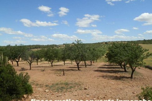 669_fincas-en-venta-102