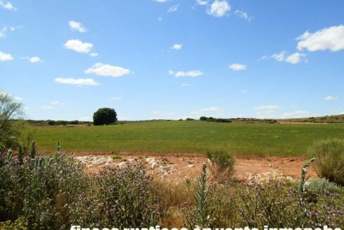 669_fincas-en-venta-106