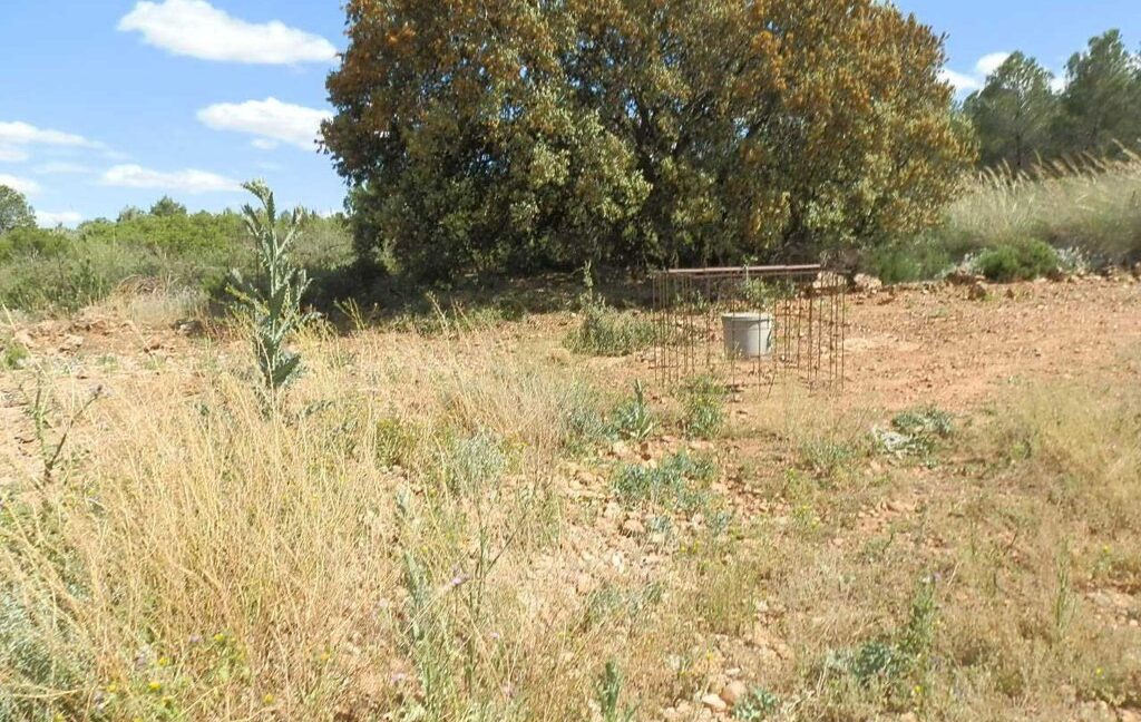 669_fincas-en-venta-109