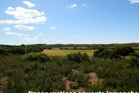 669_fincas-en-venta-117