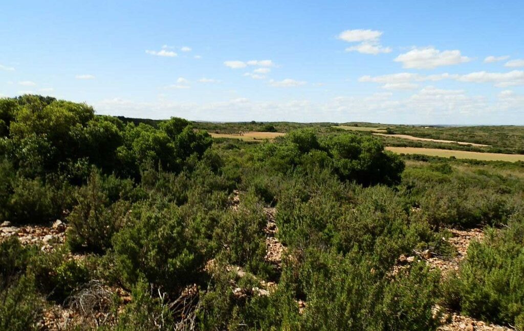 669_fincas-en-venta-128