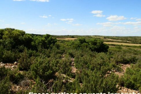 669_fincas-en-venta-128