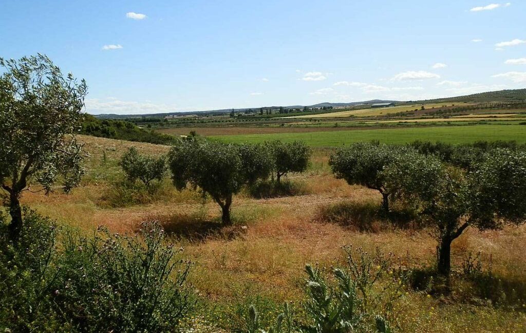 669_fincas-en-venta-135