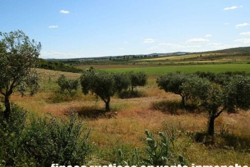 669_fincas-en-venta-135