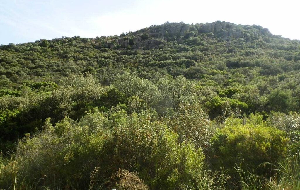 670_fincas-en-venta-32