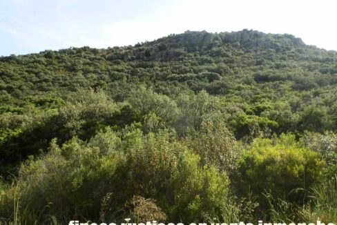 670_fincas-en-venta-32