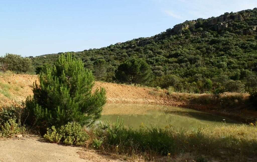 670_fincas-en-venta-34