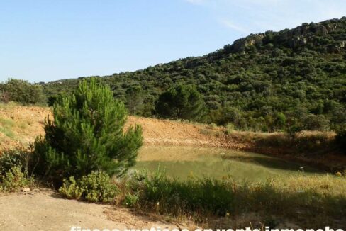 670_fincas-en-venta-34