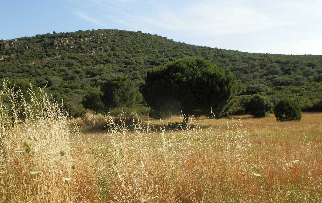 670_fincas-en-venta-35