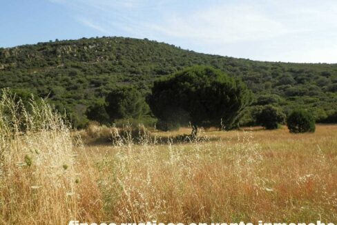 670_fincas-en-venta-35