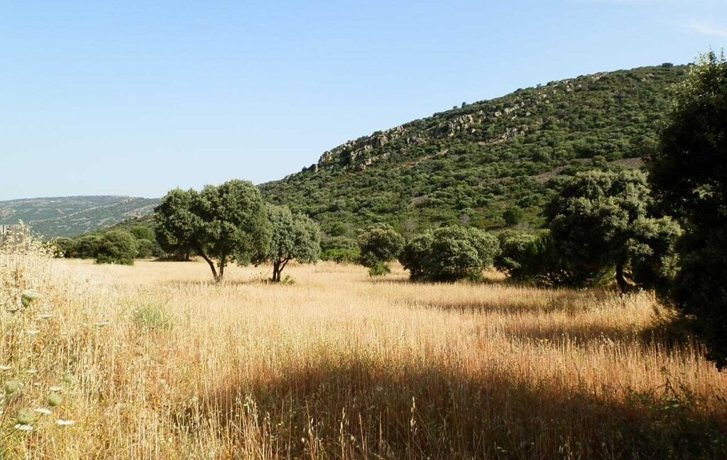 670_fincas-en-venta-37