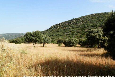 670_fincas-en-venta-37