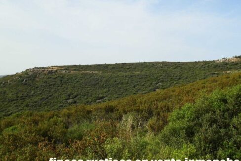 670_fincas-en-venta-40