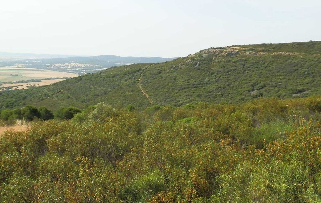 670_fincas-en-venta-41