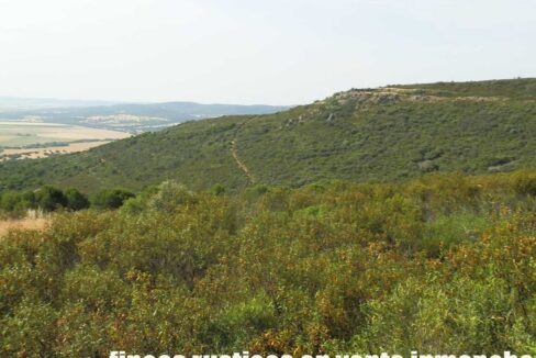 670_fincas-en-venta-41