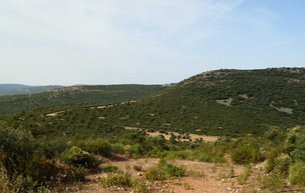 670_fincas-en-venta-44