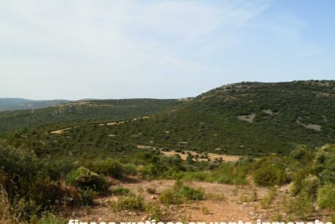 670_fincas-en-venta-44