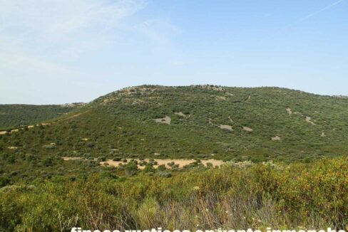 670_fincas-en-venta-45