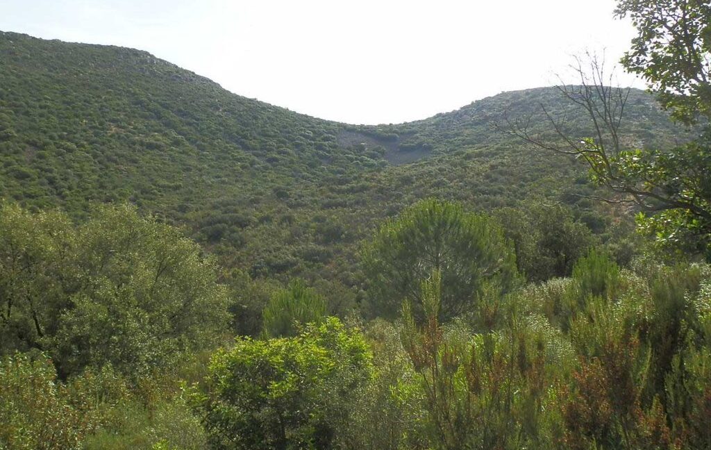 670_fincas-en-venta-47