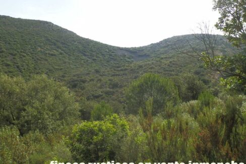 670_fincas-en-venta-47