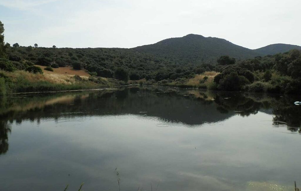 670_fincas-en-venta-52