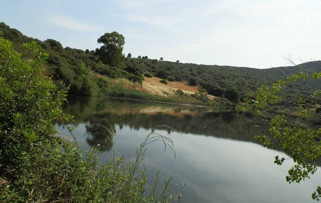 670_fincas-en-venta-54