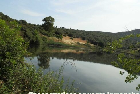 670_fincas-en-venta-54