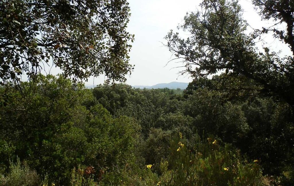 670_fincas-en-venta-57