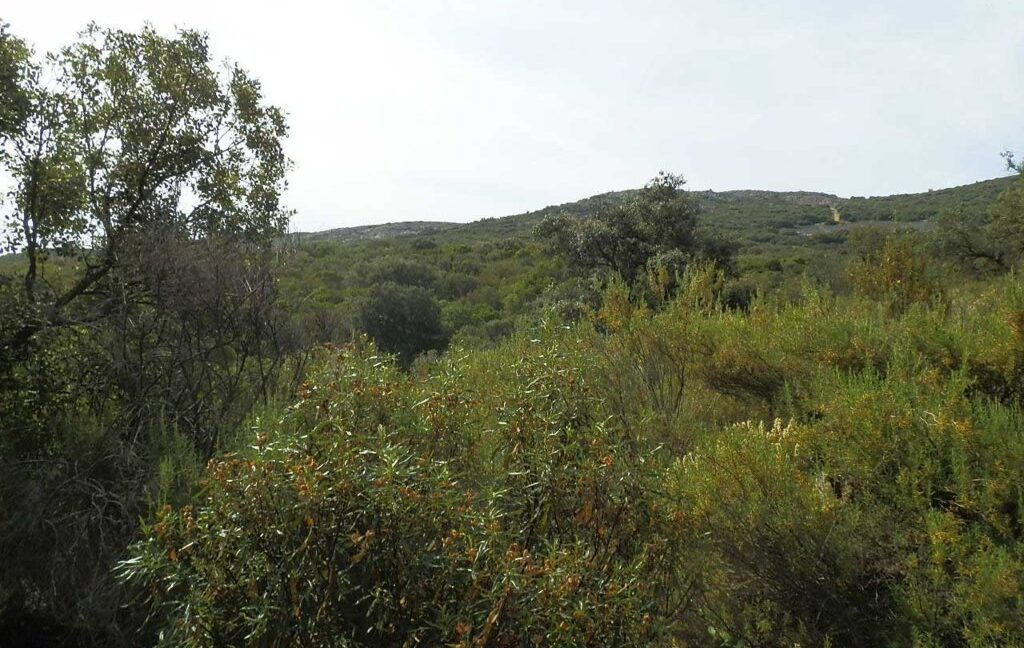 670_fincas-en-venta-59