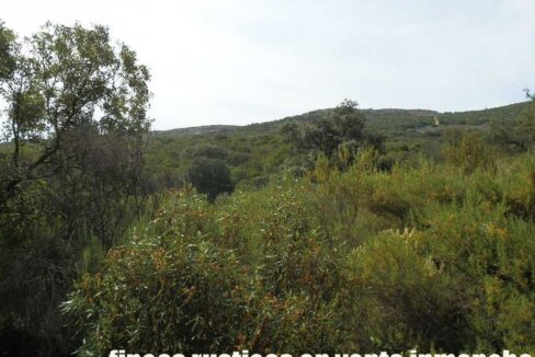 670_fincas-en-venta-59