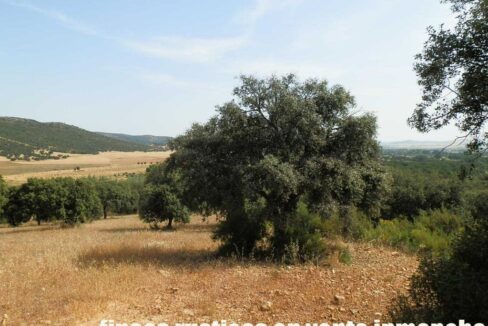 670_fincas-en-venta-61