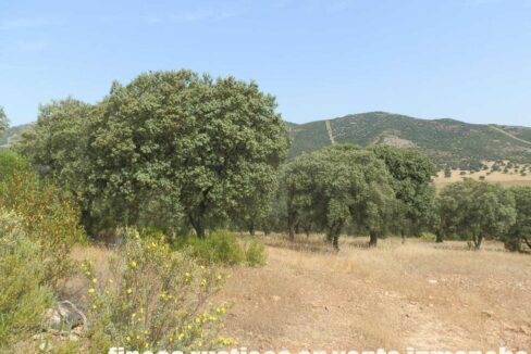 670_fincas-en-venta-63
