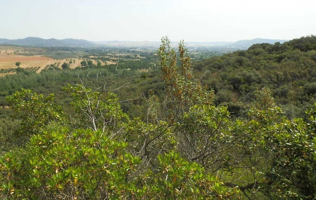 670_fincas-en-venta-65