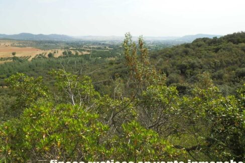 670_fincas-en-venta-65