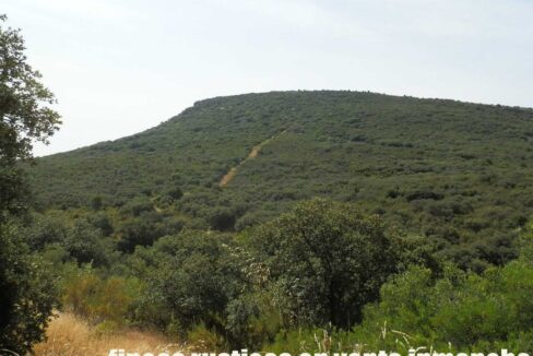 670_fincas-en-venta-70