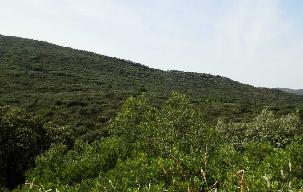 670_fincas-en-venta-71