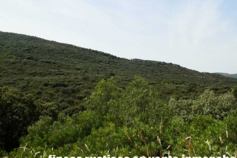 670_fincas-en-venta-71