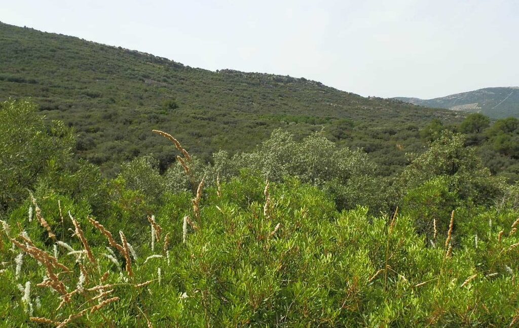 670_fincas-en-venta-73