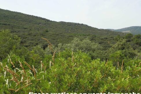 670_fincas-en-venta-73