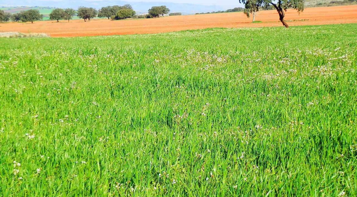 671_fincas-en-venta-055