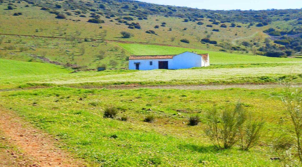 671_fincas-en-venta-059