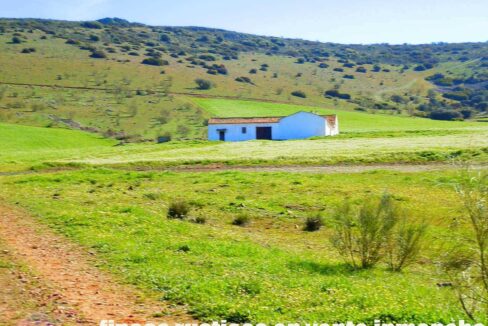 671_fincas-en-venta-059