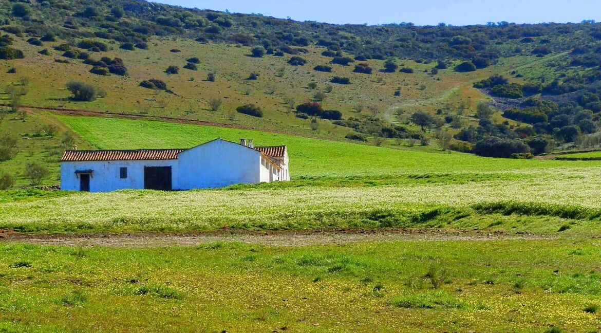 671_fincas-en-venta-061