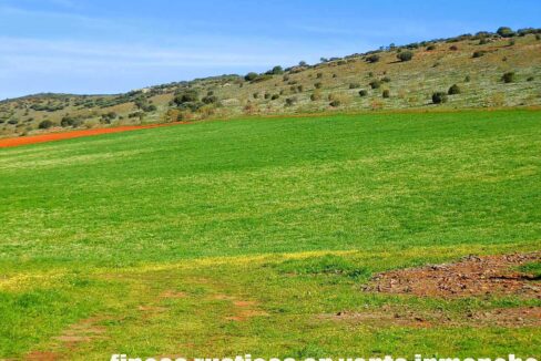 671_fincas-en-venta-065