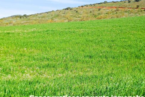 671_fincas-en-venta-066